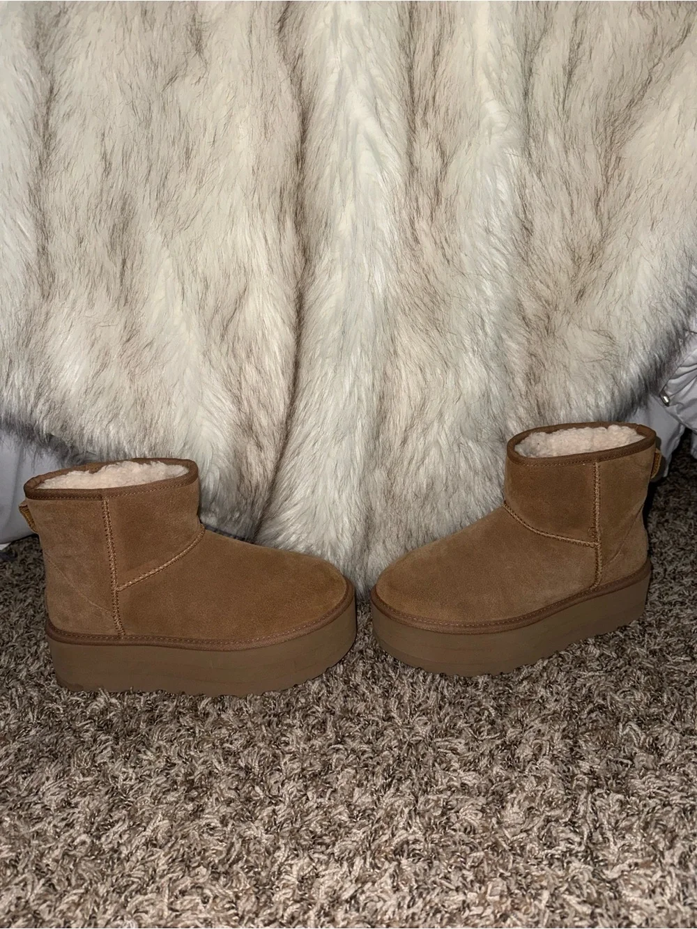UGG Classic mini platform boot in chestnut